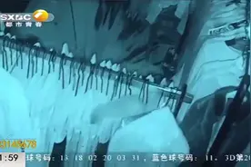 店里混进黄鼠狼，店内来回蹦跳悠然自得,老板恼火又无奈|都市快报视频封面