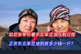 哈尼张带你看笨豆油压制全过程，正宗东北笨豆油到底多少钱一斤视频封面
