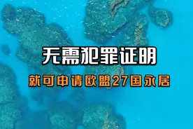 申请条件简单，无需犯罪证明，移民欧盟选奥地利！视频封面