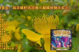 观景赏乐：高音质杜比音效《超级环绕音乐④》视频封面