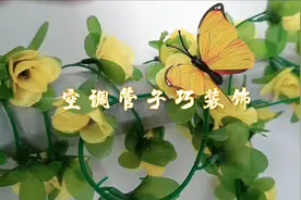 空调管子裸露在外面太磕碜咋办？用这花藤绕一绕，白墙瞬间不单调视频封面