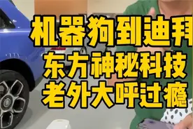 我把机器狗带到了迪拜，给老外见识我们的东方神秘科技！视频封面
