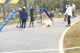 深圳：首个宠物主题公园开放，汪星人们也有自己的游乐场视频封面