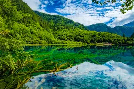 【超好听纯音乐】一山飞峙大江边，跃上葱茏四百旋。-毛泽东视频封面