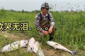 包水库钓鱼遭遇突发情况，这可咋整！视频封面