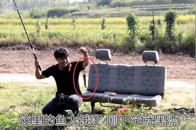 小伙搬张沙发到河边野钓，用蚯蚓做饵，下竿必上鱼，起竿起到手软视频封面