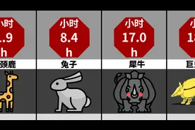 你知道动物用多少时间来睡觉吗？本期为大家科普39种动物睡眠时间