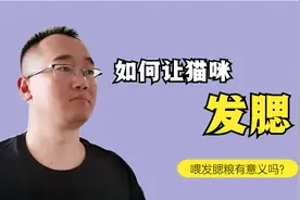 想让猫咪发腮，必须具备这2个先天条件，其它的方式叫双下巴