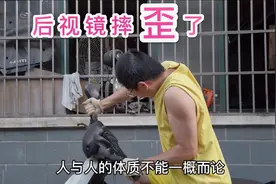车祸以后的小牛电动车后视镜都歪了，自己把它给修好