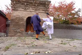 少林七星拳，少林武僧与武当传人给你展示实战技巧，少林看家拳视频封面