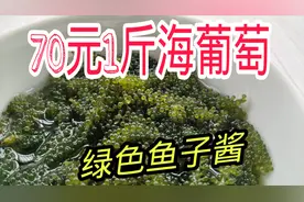 开箱70元一斤的海葡萄，号称绿色鱼子酱，沾芥末吃太上头了！视频封面