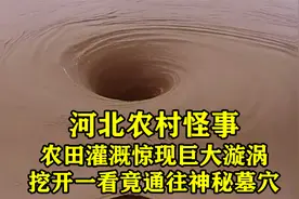 河北农村怪事，农田灌溉惊现巨大漩涡，挖开一看竟通往神秘墓穴视频封面