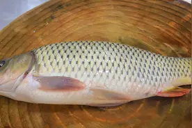 厨师长分享正宗的红烧鱼，教程详细简单实用，可以当做招牌菜视频封面