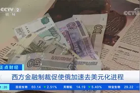 俄外经银行已不使用美元和欧元进行交易视频封面