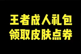 王者成人礼包领取皮肤点券视频封面