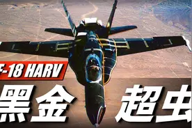 NASA秘密改装黑金超虫！F-18 HARV极限攻角70°突破航空技术极限视频封面