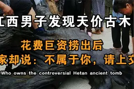 江西男子偶然发现天价古木，花费巨资打捞出来后，专家却建议上交视频封面