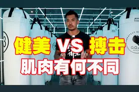 健美VS搏击，两者的肌肉有何不同？实战中肌肉越大反而耐力越差