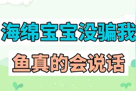海绵宝宝没骗我，鱼真的会说话！视频封面