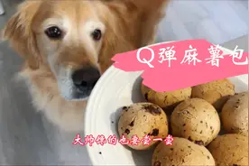 Q弹空气炸锅麻薯，我家金毛大帅尝了表示很满意。视频封面
