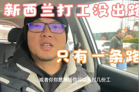 千万别去新西兰打工，中国大哥说出背后秘密视频封面
