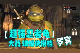 蝙蝠侠徒弟大战忍者神龟，四只乌龟习得超强忍术，罗宾被打得求饶视频封面