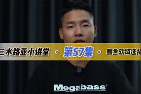 路亚钓鳜鱼常用的各种软饵怎么选视频封面