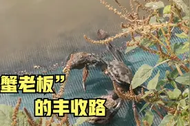 湖州长兴，走出了多位年收入过百万的“蟹老板”视频封面