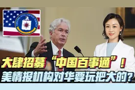 囤积“会汉语”人才？CIA对华计划野心勃勃！全民团结，让美绝望视频封面