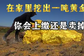 如果你不小心从家里挖出一吨黄金，你会选择上缴还是卖掉？视频封面