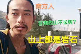 南方人来到甘肃陇南后，终于明白为何这边的山都不长树了视频封面