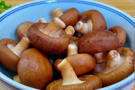这才是香菇好吃做法，鲜嫩爽滑入味，不放肉和吃肉一样香，很下饭视频封面