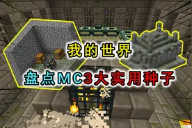 我的世界：超稀有的种子，出生点在村庄，垂直下挖就是地牢视频封面
