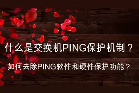 ping丢包或者延时大就能判断业务有问题？介绍交换机PING保护机制视频封面