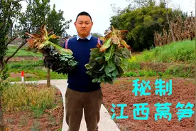 没想到莴笋这么好吃，鲜脆可口营养不流失，不用锅也不用火就做好视频封面