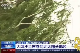 大风沙尘席卷河北大部分地区，局地阵风可达10级以上|24小时视频封面