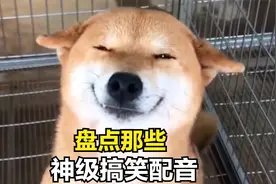 盘点那些神级搞笑配音，毫无违和感，一个比一个搞笑