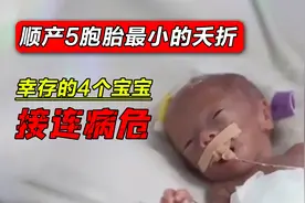 顺产5胞胎最小的夭折，幸存的4个宝宝接连病危，真实纪录片视频封面