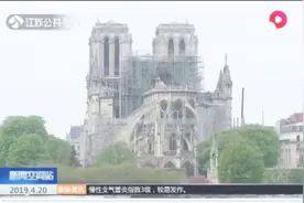 重建巴黎圣母院屋顶需要200年树龄以上的橡木，橡木资源够么？视频封面