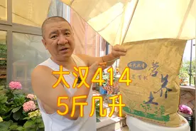 大汉K牌414泥炭土5斤多少升？与老花医的花土体积差不多？视频封面