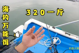 320一斤的海钓万能饵效果实在好，任何鱼都抵挡不住它的诱惑视频封面