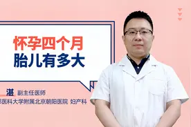 怀孕四个月胎儿有多大视频封面