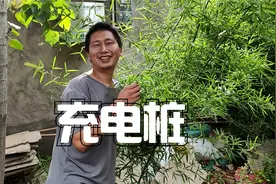 200块7千瓦的充电桩如何，在农村怎么便宜怎么来视频封面