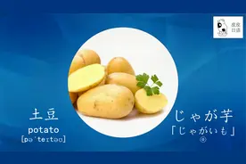 皮皮日语——蔬菜（3）