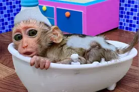 聪明小猴在家无聊，倒上热水自己洗澡，蹦蹦跳跳真的可爱视频封面