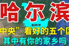 哈尔滨被“中央”看好的五个区， 未来有福了， 看看有你家乡吗？视频封面