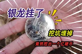 银龙养了3天就挂了，拿到野外挖坑埋掉，竟然挖出一枚一亿元硬币视频封面