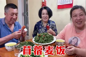 和爸妈去摘野菜，做陕西美食苜蓿麦饭，东北人第一次做，看看咋样视频封面