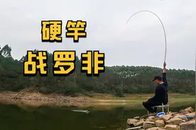 水库罗非十分猖狂，听说钓罗非要快速拉至水面，特地选了支硬的竿视频封面