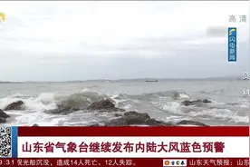 山东发布内陆大风蓝色预警，29日多地有雷雨或阵雨，局部有冰雹视频封面